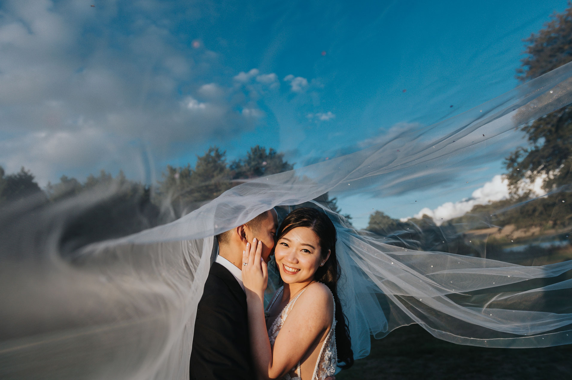 Bride & Groom Veil